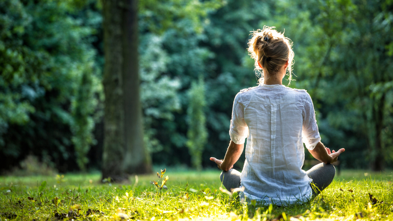 Solution of Chronic Fatigue at MJR Wellness Solution of Chronic Fatigue at MJR Wellness
